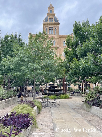 The eclectic, welcoming garden of Suzy Renz