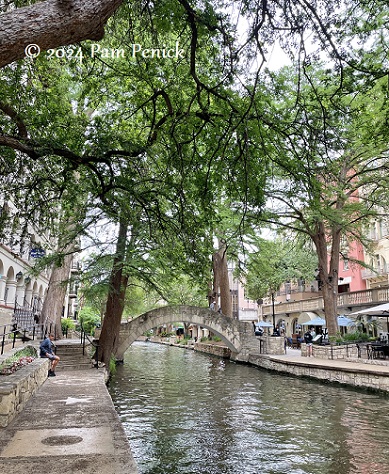 More faux bois at San Antonio River Walk and Witte Museum