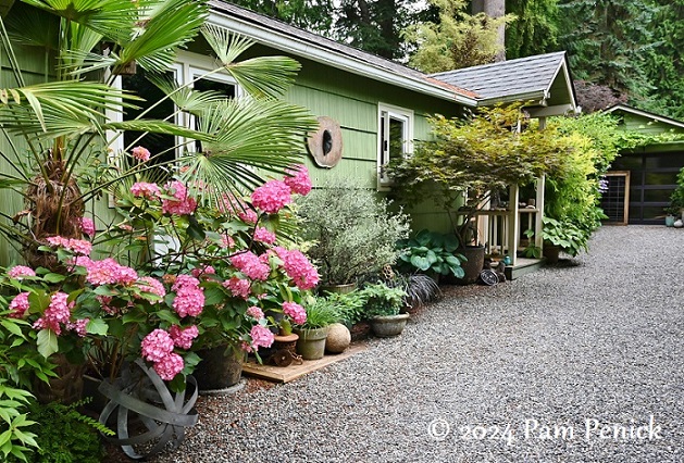 Next-door gardening neighbors at Puget Sound Fling