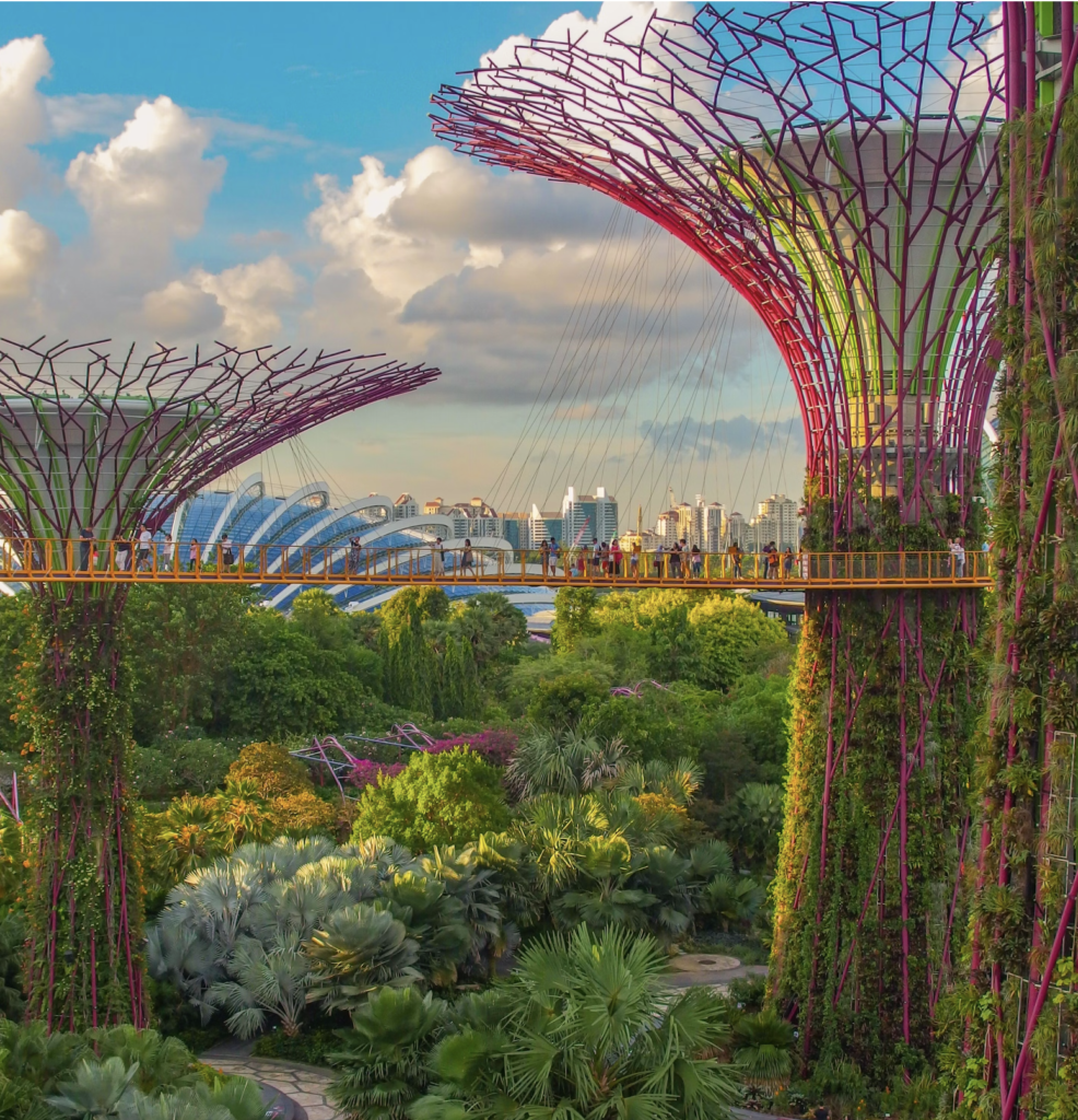 A cardboard pavilion for Dubai Design Week