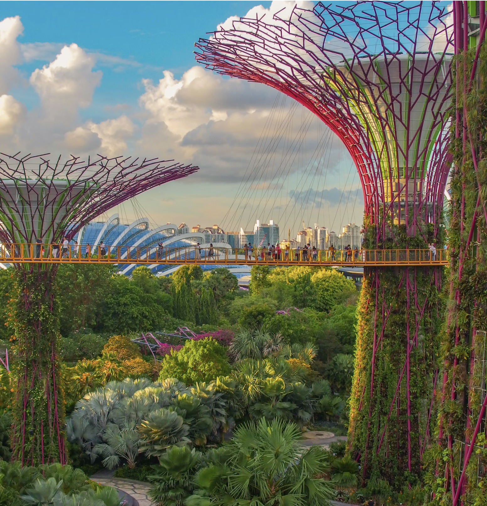 A cardboard pavilion for Dubai Design Week