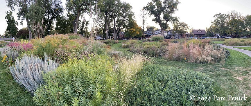 Gardens at Denver’s Washington Park are going native