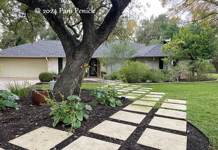 Drive-By Gardens: Diamond path and gravity-defying live oaks