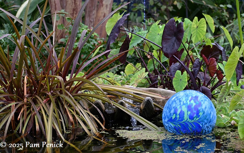 Lori’s blue fantasia garden